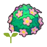 Adorable hedge sapling figure