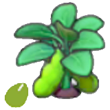 Bean seeds figure