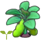 Bean sprout figure
