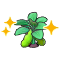 Blooming bean plant (Grow) figure