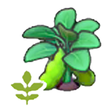Blooming bean plant figure