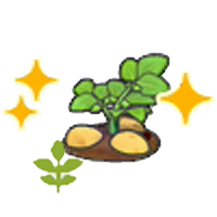 Blooming potato plant (Grow) figure