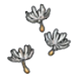 Cotton spores (outdoor) figure