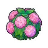 Damp hedge (pink) figure