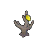 Dry stylish hedge figure