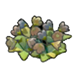 Dry wildflowers figure