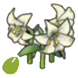 Elegant-flower seeds figure