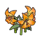 Elegant flower (orange) figure