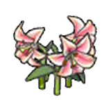 Elegant flower (pink) figure