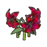 Elegant flower (red) figure
