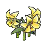 Elegant flower (yellow) figure