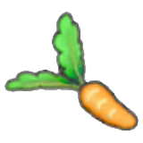 Fresh carrot figure