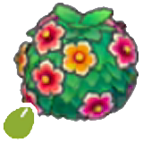 Healthy-hedge seeds figure