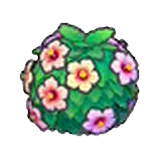 Healthy hedge (pink) figure