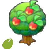 Leppa Seeds figure