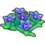Mountain flowers figure