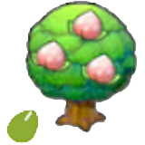 Pecha Seeds figure