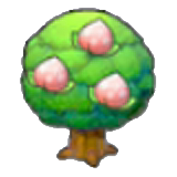 Pecha tree figure