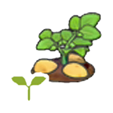 Potato sprout figure