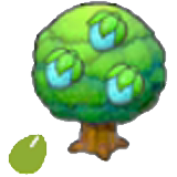 Rawst seeds figure