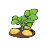 Ripe potato plant figure