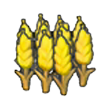 Ripe wheat figure