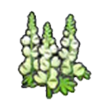 Robust flower (white) figure