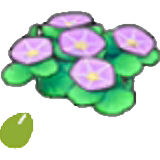 Seashore-flower seeds figure