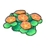 Seashore flowers (orange) figure