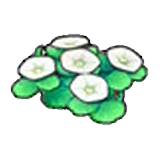 Seashore flowers (white) figure