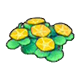 Seashore flowers (yellow) figure