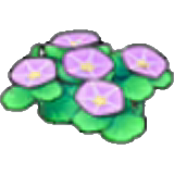 Seashore flowers figure