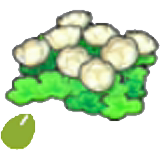 Skyland-flower seeds figure