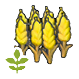 Small wheat plant figure