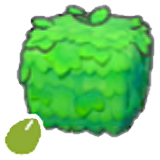 Square-plant seeds figure