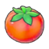 Tomato figure