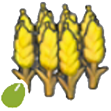 Wheat seeds figure