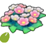 Wildflower seeds figure